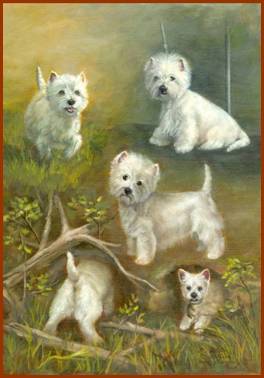 “Westies in Action”