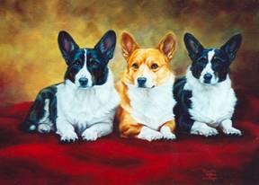 “Corgis”