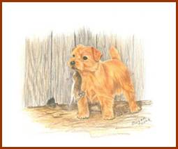 “I Got the Prize”