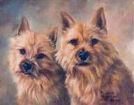 CH Highwoods St. Andrew and His Dam Bailey