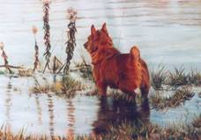 “Tag in Swollen South River”