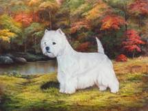 “CH Roundtown Ivan the Terror”